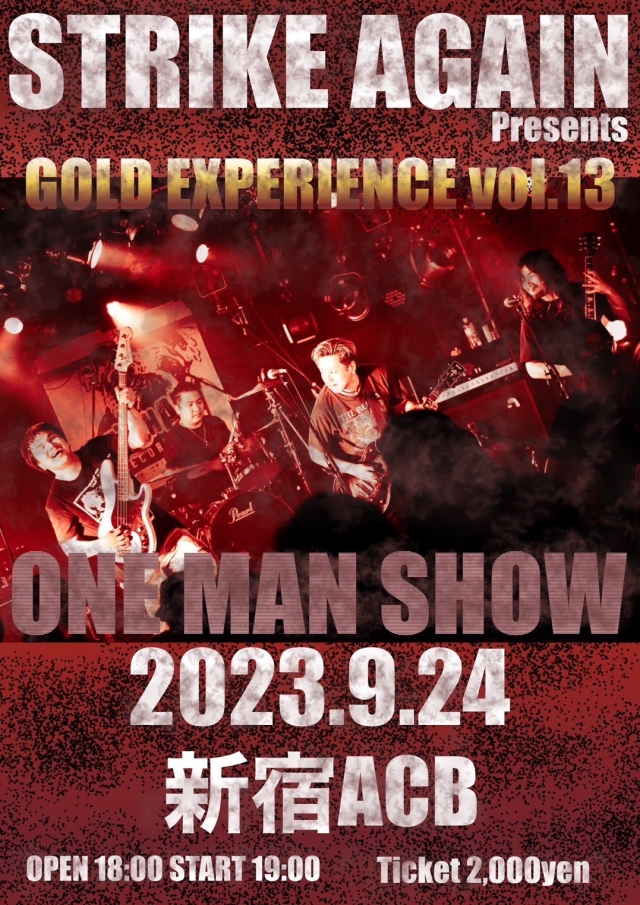 GOLD EXPERIENCE VOL.13